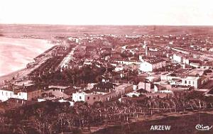 Arzew 320
